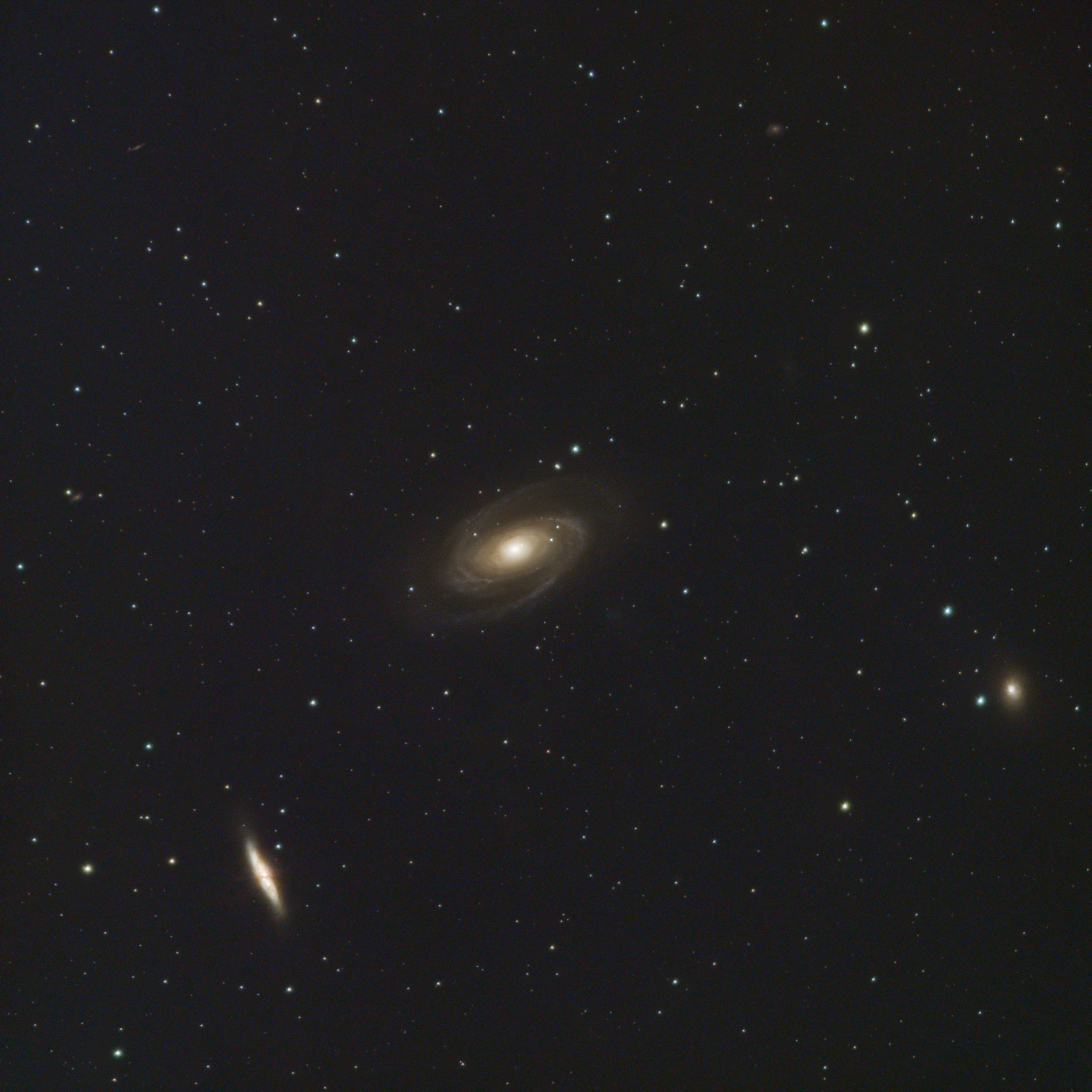 Bode's Galaxy (M81) - April 2026